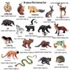 Large Insect Toy Set: Butterfly, Bee, Dragonfly, Ant, Cicada, and Rhinoceros Beetle Models for Kids