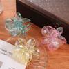 Plastic Transparent Hair Clip Grab Clip Large Hair Claw Cute Flower Hair Clip  Streetwear