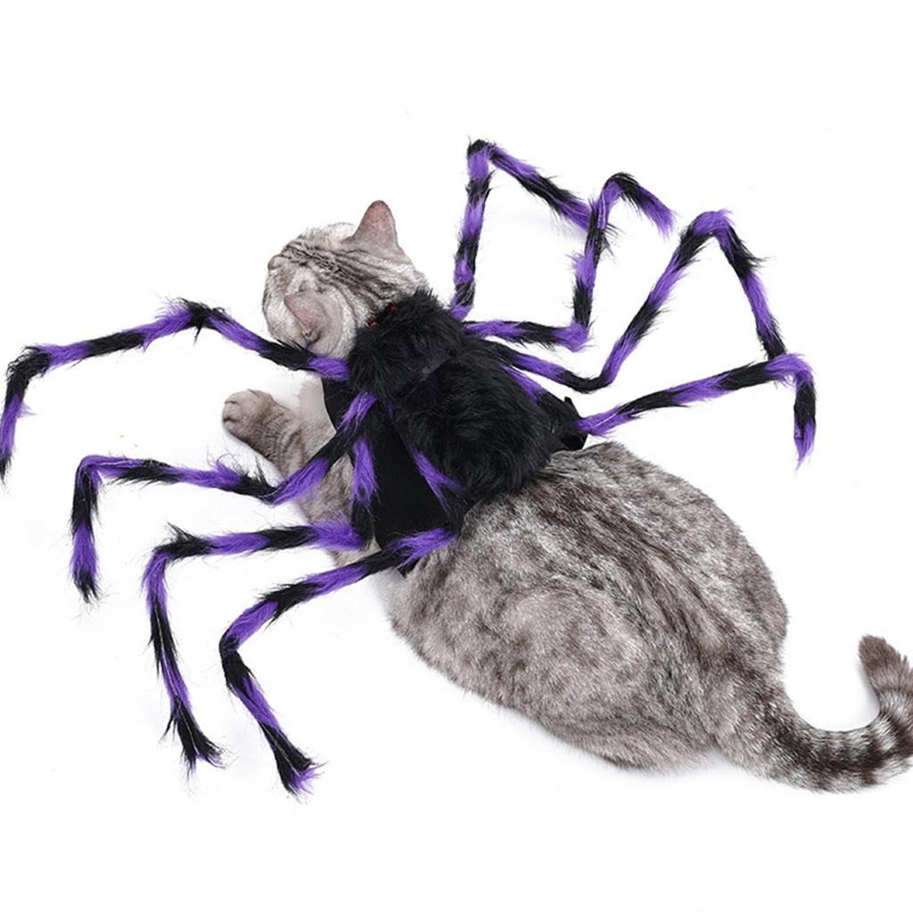 Haustier Kostüm Hut Lustige Spinnen Tier Cosplay Kleid Cosplay Zubehör Haustier Cosplay Zubehör Spinnen