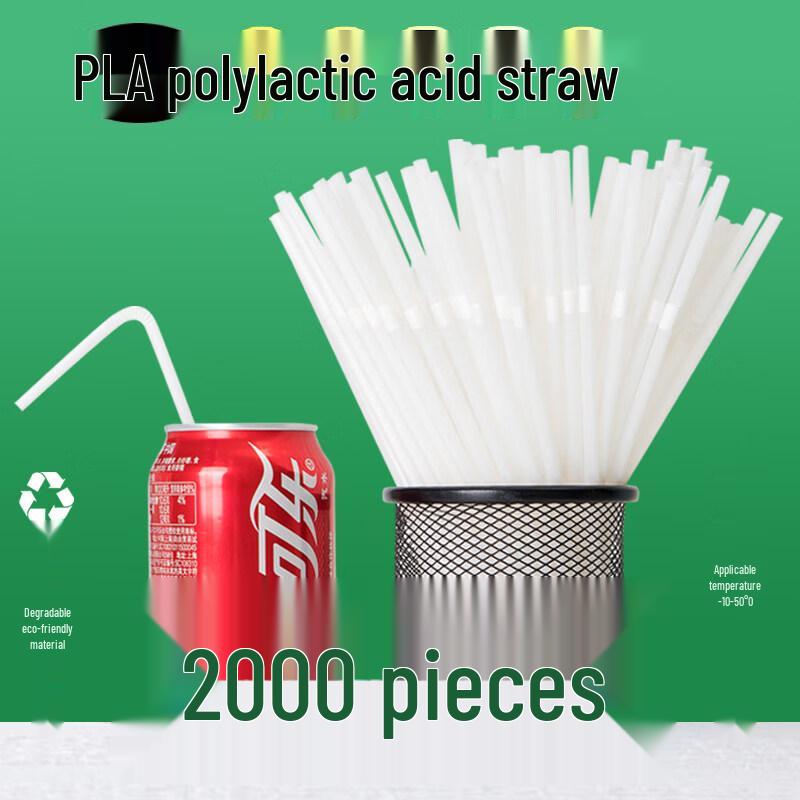 ZISIZ Disposable Plastic Straws, 6000 Count Bulk Pack