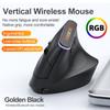 RGB luminous mouse ergonomic design vertical vertical Bluetooth BT + 2.4G dual-mode Bluetooth wireless mouse
