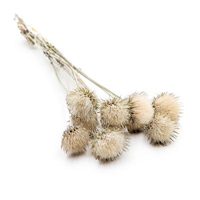 Snack – Dolci