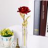 24k Gold Foil Plated Eternal Rose Flower for Romantic Valentine's Day Lover Wedding Mother's Day Gifts