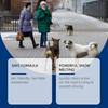 Pet-Friendly -Icer Winter Snow And Ice Melting  - Cleaner For Concrete Floors And Streets