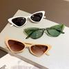 Cat Eye Women Sunglasses Retro Fashion UV Protection Round Lens Plastic Frame Summer Beach Accessories