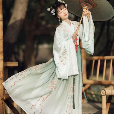 Abito da donna Hanfu cinese stile dinastia Wei Jin autunno e inverno