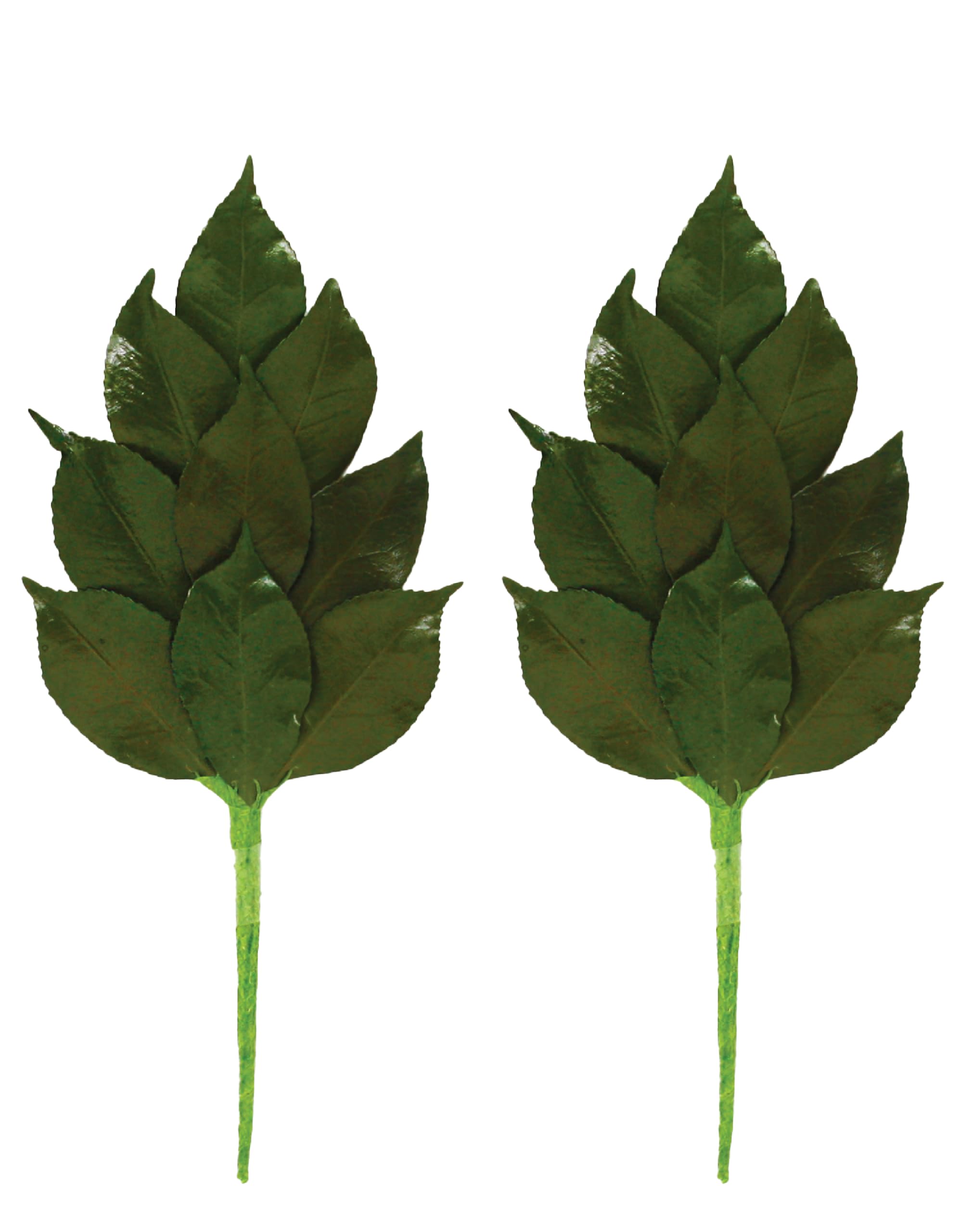 

[A&K] Affordable, Economy-Friendly Sakaki Mini S, Made with Natural Sakaki and Camellia Leaves, Heat-Resistant, Won t Rot, No Replacement Required,