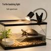 Turtle Basking Heating Lamp - Sun, Warmth, & Insulation for Reptiles