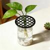 Germination Cover Plant Cultivation Trays Plastic Plant Branch Support  Outdoor Potted Plants