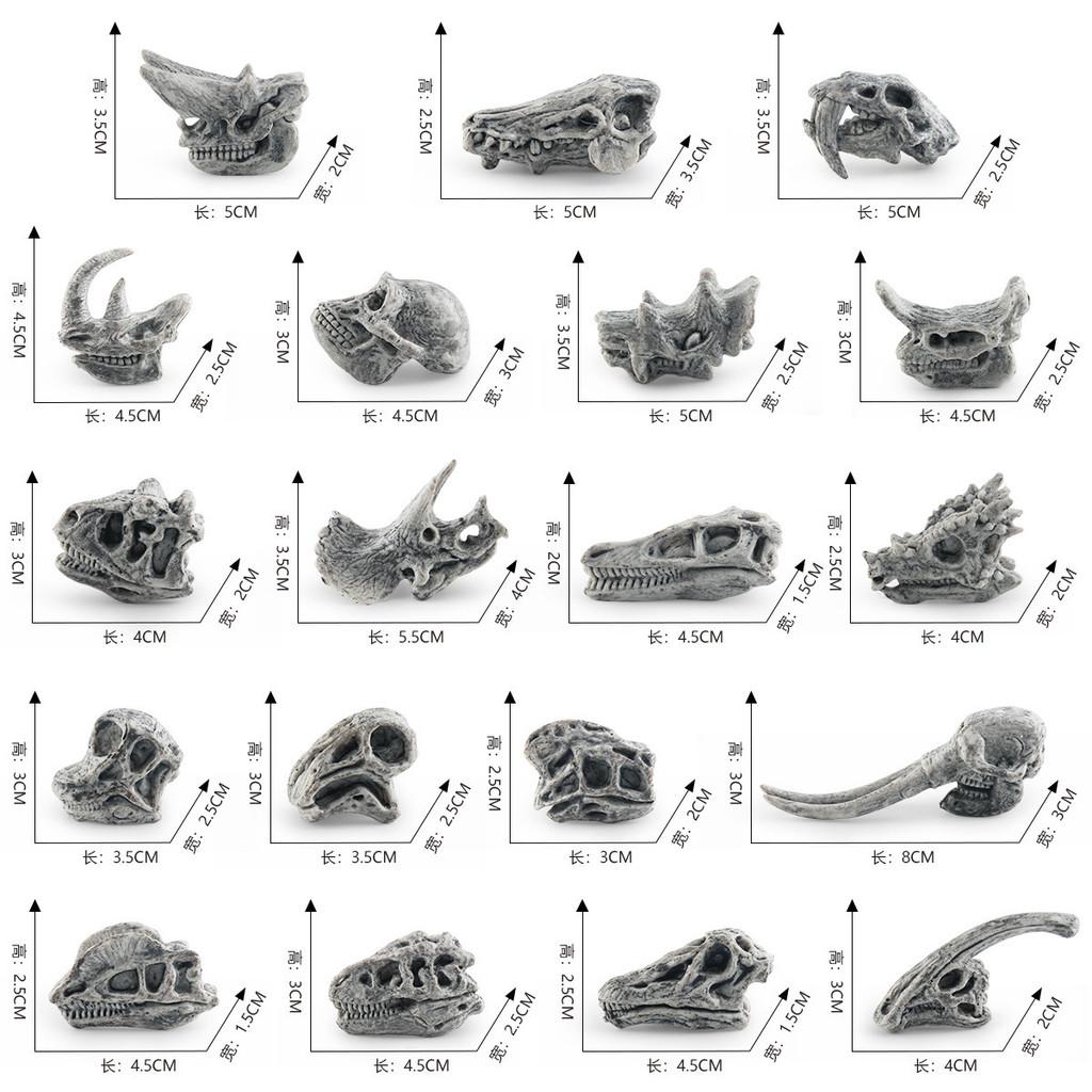 Realistic Jurassic Dinosaur Skull Model Toy For Kids Educational Archaeology Fun