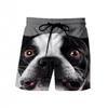 Men's Cute Dog 3D Printing Summer New Casual Vacation Beach Fun Animal Pattern Sports Shorts