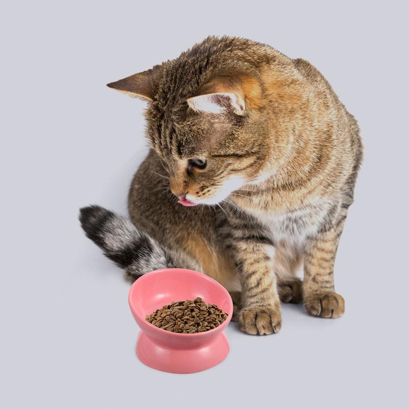 Ceramic Raised Cat Food Bowl Elevated Feeding Slanted Design Protects Neck Prevents Vomiting Easy Clean Dishwasher Safe Pet