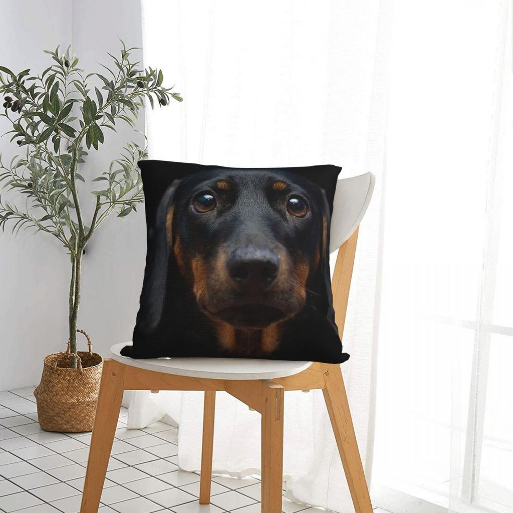 Dachshund Dog Square Pillow Covers Polyester Home Wiener Sausage Doxie Cushion Case Cute Decor Pillowcase 4040