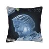 Drake Iceman Album  Pillow Covers Stuff Soft Cushion Cover Decor  Throw Pillow Case Cover Sofa Multiple Sizes