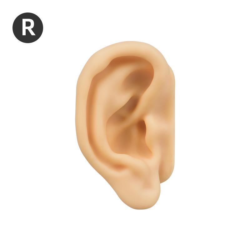 Realistic 3D Silicone Ear Model 1:1 Human Size Ear for Ear Piercing Practice Tattoo Training Display Props Tattoo Tools
