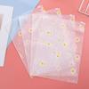 Daisy Frosted Zipper Cosmetic Bag - Travel Organizer