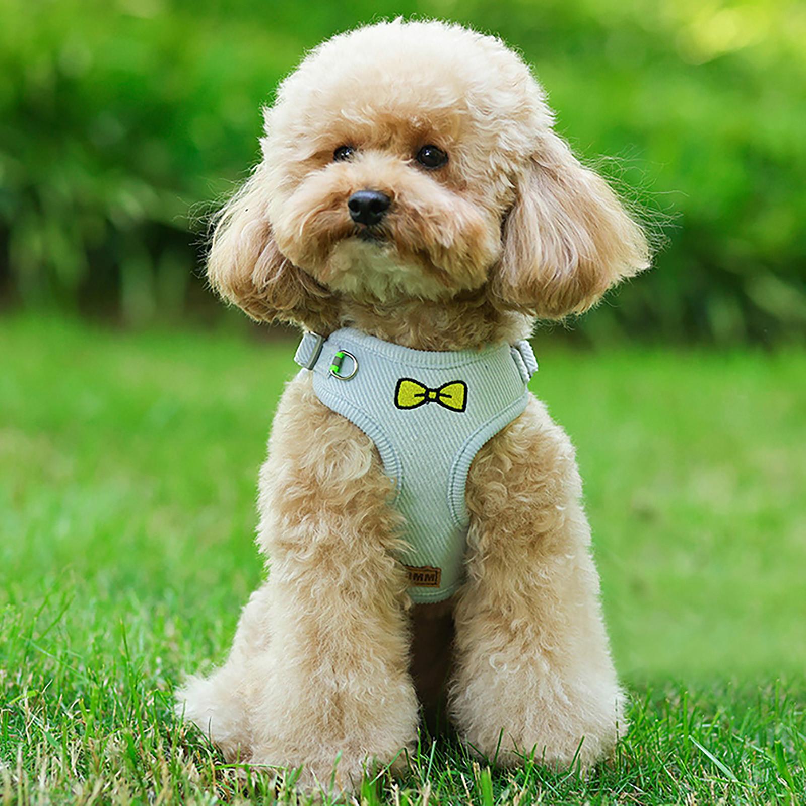 

Reflective Dog- With Leash Breathable Adjustable Nylon Pet- Accesorios For Chihuahua Small Large Dog- Vest S синій