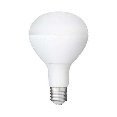 LED žárovky – LED lampy a trúbky