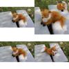 Handmade Simulated Fox Plush Toy Realistic And Charming Home Decor