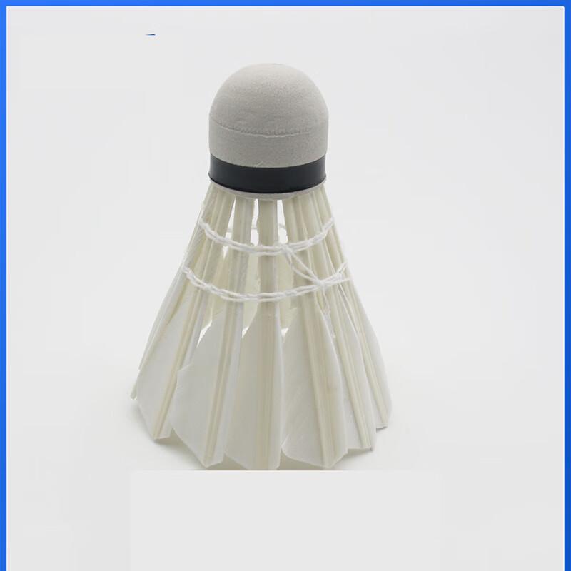 Xulin Nylon Training Badminton Shuttlecocks - 12 Pack