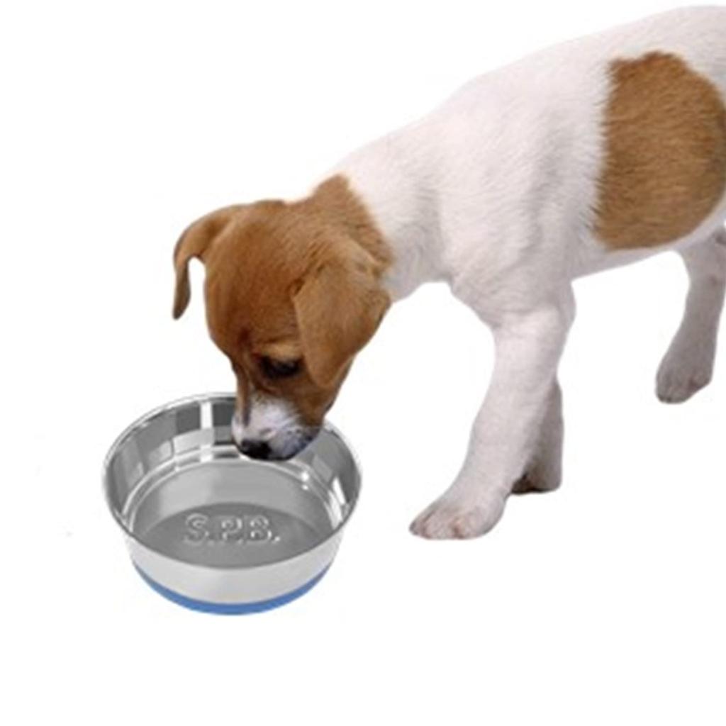 Pet Dog Tableware Festiva Bowl Yellow M Size S.P.B. (Super Bowl)