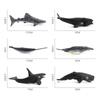 Realistic Marine Animal Models With Static Display For Aquarium Decoration And Educational Purposes