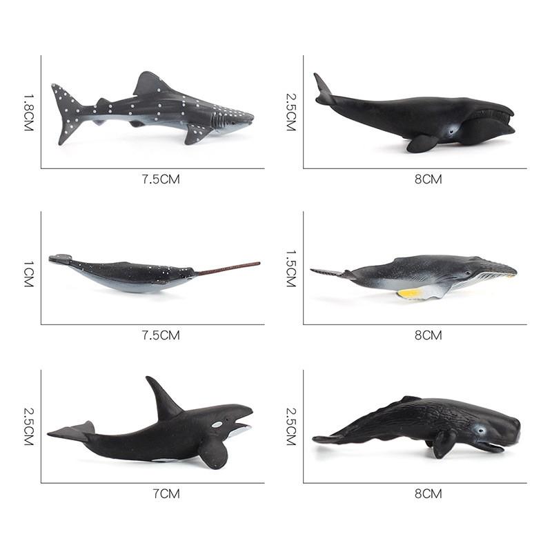 Realistic Marine Animal Models With Static Display For Aquarium Decoration And Educational Purposes