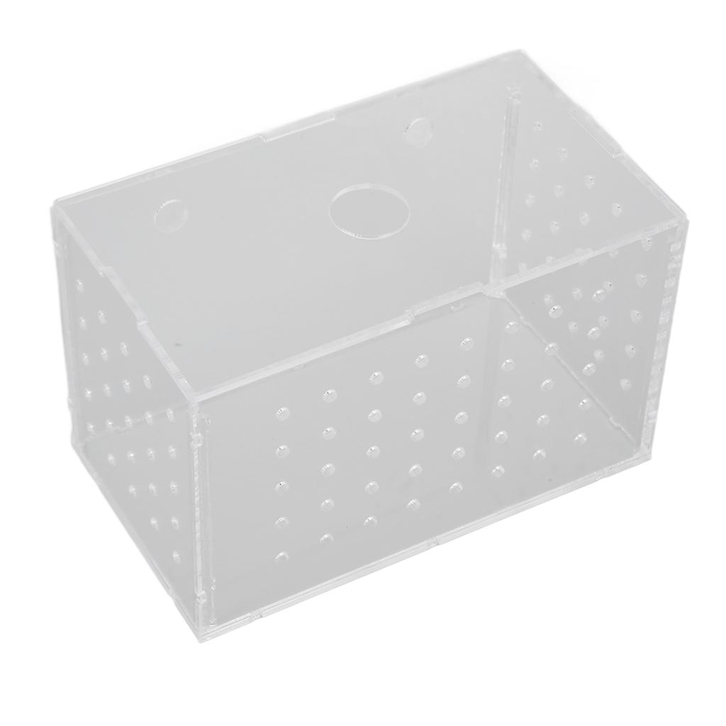 Fiskeoppdrettsboks Akryl med høy gjennomsiktighet Klekkeri Inkubatortank med sugekopper for baby