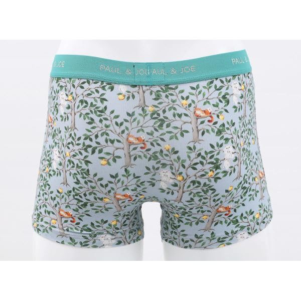 Paul Joe Graue Boxershorts & Herren