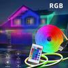 Neon RGB Flexible DIY Waterproof Decorative Lights with Infrared Remote Control