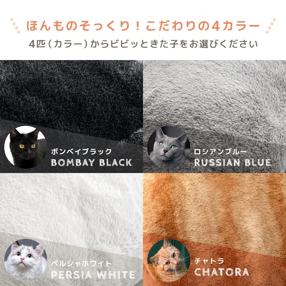 Gen of the chest of drawers Now a 2 Single Warming Cat Winter it's cat. Blanket, Pieces, +3.8℃ Sheet, Pattern, Fluffy, Warm, Washable, 80100133(99829)