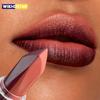Orange Lipstick Lip Glaze Silky Smooth Matte Lip Gloss Carrot Bright Color Lasting Lip Stick Sexy Women Cosmetics Makeup Product