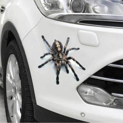 Funny 3D Cartoon Colorful Frogs Spider Feather Car Stickers Decal Vinyl Cover Body Scratched Car Styling Motorcycle Accessories