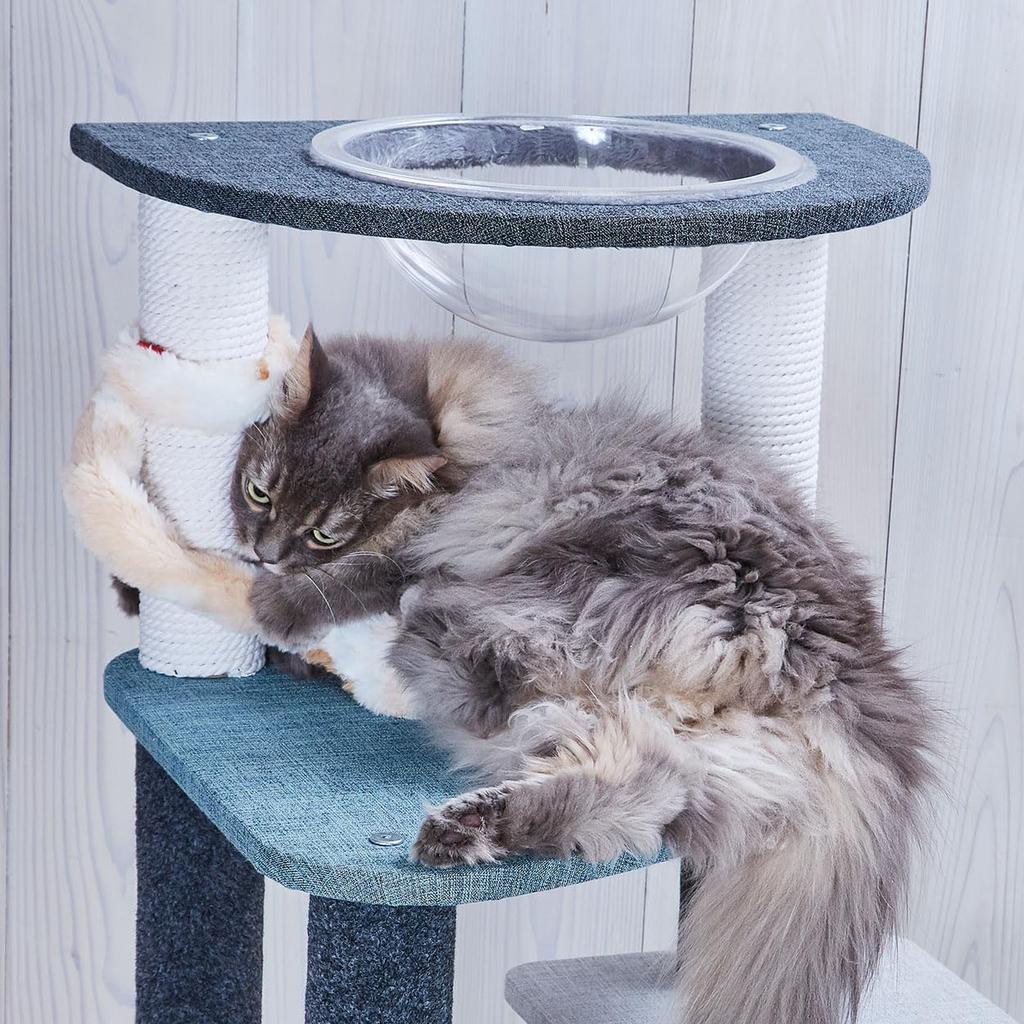 Petio Cat Toy Nyan Pro Cat Play Neighbor Cat Punch