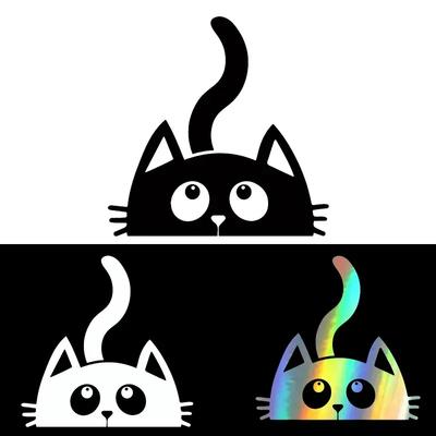 15x15cm Niedliche guckende Kätzchen Katze Autoaufkleber Autokarosserie Stoßstange Fenster Motorrad Laptop Wände Vinylfolie Aufkleber Autozubehör