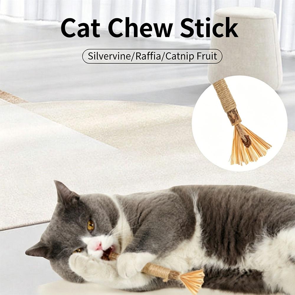 5 Stück natürliche Silberweiden-Stöcke für Katzen, Raffia Matatabi Katzen-Kauspielzeug zur Zahnreinigung, Essbare Zahnpflege-Mahlzähne-Stöcke zur Linderung von Haarballen bei Kätzchen