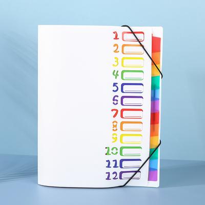 Colorful Tags A4 Folder with Month Divider - Durable Plastic Document Organizer Color Coded Calendar System