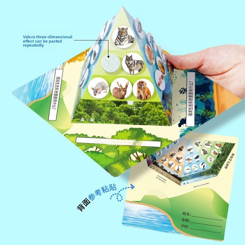 Paper Food Chain Pyramid Model Assembly Material Set Puzzle Toys For Children Educational Biology Set