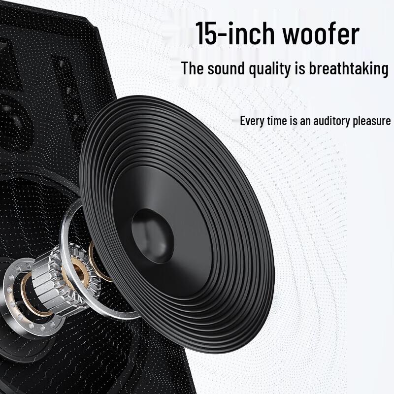 Newmine N539 15-inch Portable Bluetooth Trolley Speaker with Dual Mics CN plug (adapter included) (CN version)