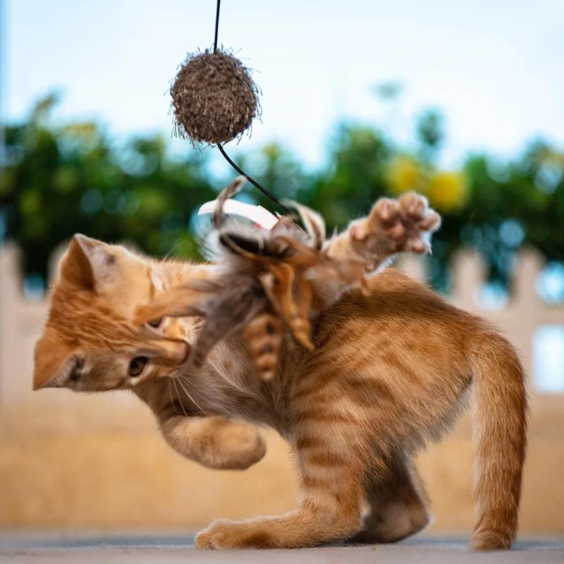 

Magic Cat Toy Cat Teaser Stick Feather High Elastic Hand-held Non-slip Plush Ball of Thread Blue Feather