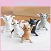 Pen Cats Holder Doll Ornament Plastic Earphone Jewelry Support Stand For