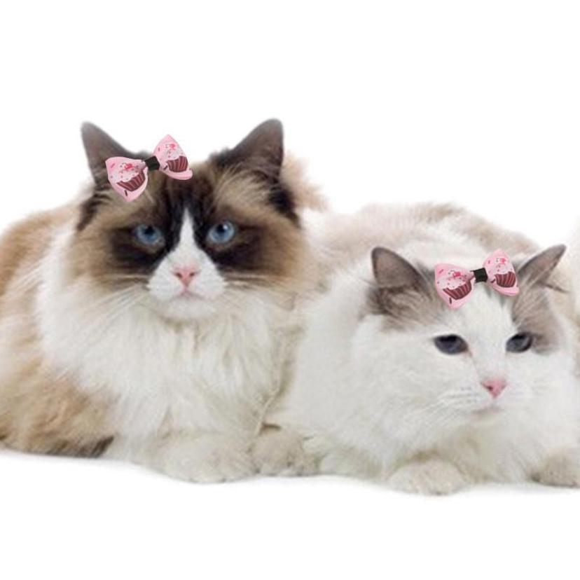 5 Pcs Random Color Pet Cat Dog Hair Rubber Belt Headwear Beauty Accessories Dress Up And Accessories