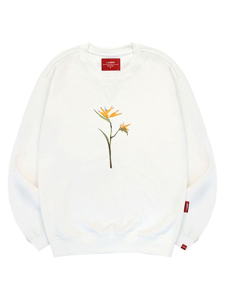 Ellamo Dried Flower Sweatshirt Unisex Plus Size S~4Xl (Type B)