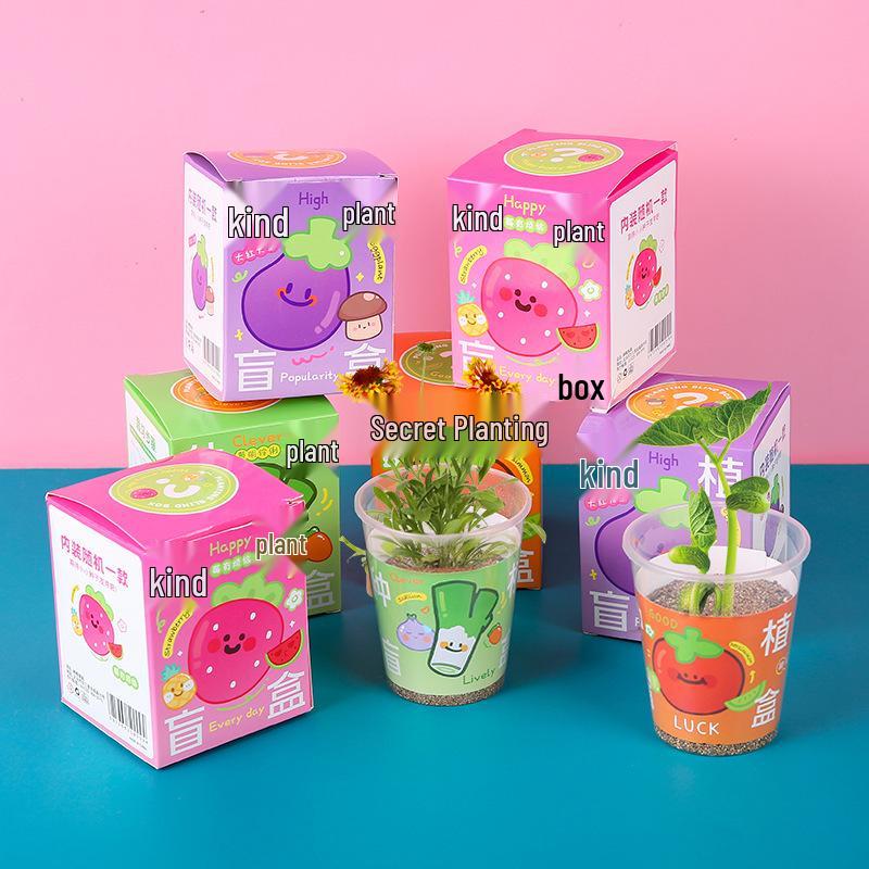 Kids' Mini Plant Observation Box: Small Potted Plants with Seeds for Kindergarten and Primary School Students