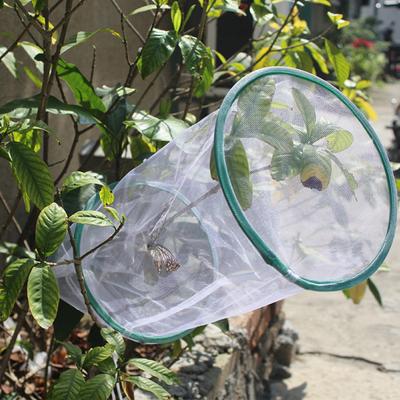 Schmetterlings-Experimentierkäfig Handheld Einfache Lagerung Faltbar Atmungsaktiv Transparent Fütterung Tragbar Beobachtung Belüftet Schmetterlings-Lebensraum Haus Werkzeug