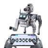 Smart AI Robot Dog Toy - Programmable Mechanical Pet with Remote Control for Children's Day Gift.
