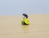 Glass Square Cute Glass Hina Doll Sewing Shoes Small