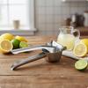 Instrumentos para trabalhar com frutas e vegetais – Espremedores