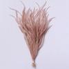 100Pcs Ribbon Tassel Ostrich Feathers DIY 10-15cm Natural Ostrich Feather Multicolor Sewing Costuming Loose Plumas Decorativas