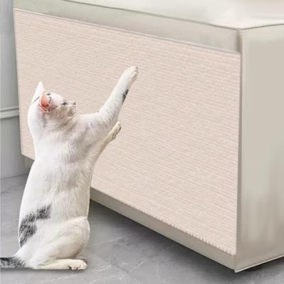 Kedi – Kedi Eğitim Aparatları